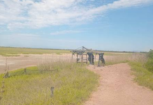 Abandoned farms and debts affect shrimp farmers in Nayarit