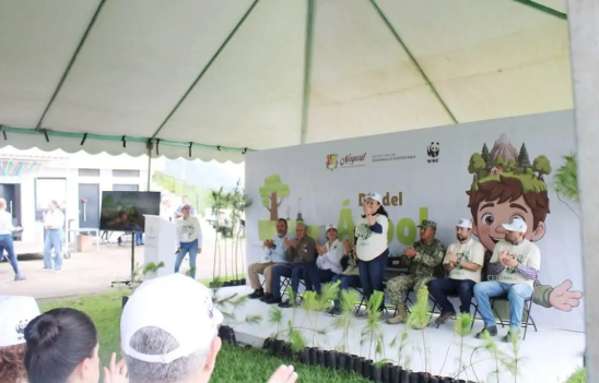 They will restore 20 hectares of the Sierra de San Juan Biosphere Reserve in Nayarit