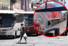 What will happen to the driver who beat a train across the tracks in Nayarit?