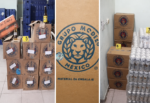 Criminal monopoly controlling beer sales in Nayarit dismantled
