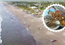 Playa Novillero: Discover Mexico’s Longest Beach and Seafood Paradise