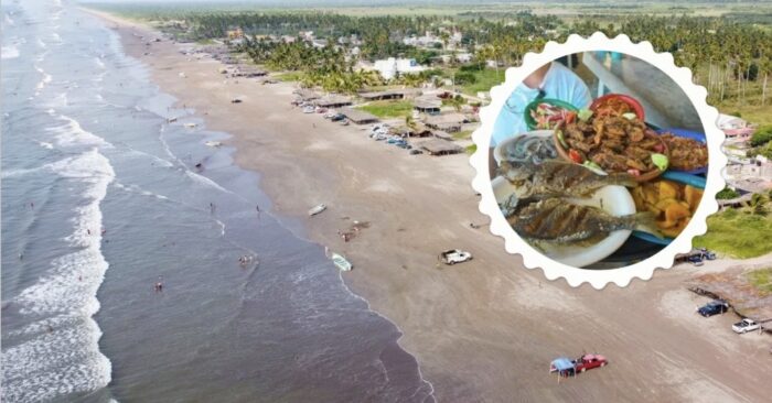 Playa Novillero: Discover Mexico’s Longest Beach and Seafood Paradise